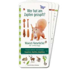 Wawra Verlag Wer hat am Zapfen gezupft? New