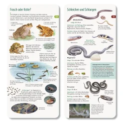 Wawra Verlag Wer hat am Zapfen gezupft? New