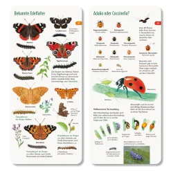 Wawra Verlag Wer hat am Zapfen gezupft? New