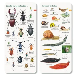 Wawra Verlag Wer hat am Zapfen gezupft? New