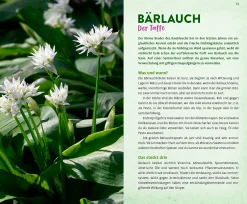 Ulmer Verlag Wild und wunderbar: die 13 besten Wildkräuter Outlet