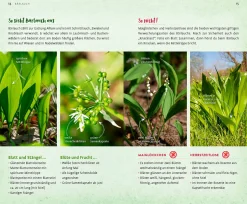 Ulmer Verlag Wild und wunderbar: die 13 besten Wildkräuter Outlet