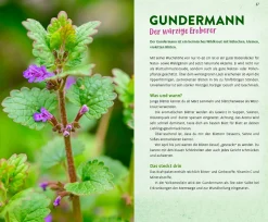 Ulmer Verlag Wild und wunderbar: die 13 besten Wildkräuter Outlet