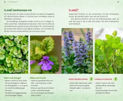 Ulmer Verlag Wild und wunderbar: die 13 besten Wildkräuter Outlet