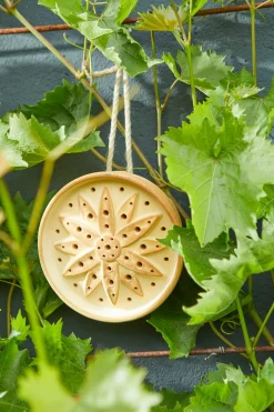 Denk Keramische Werkstätten Wildbienenhaus Keramik Hot