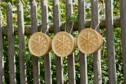 Denk Keramische Werkstätten Wildbienenhaus Keramik Hot