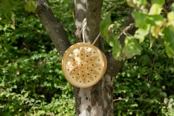 Denk Keramische Werkstätten Wildbienenhaus Keramik Hot