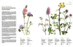 eder-roemer Verlag Wildbienenhelfer New