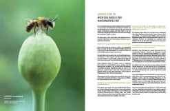 eder-roemer Verlag Wildbienenhelfer New