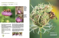 eder-roemer Verlag Wildbienenhelfer New