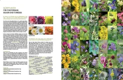 eder-roemer Verlag Wildbienenhelfer New