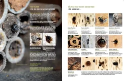 eder-roemer Verlag Wildbienenhelfer New
