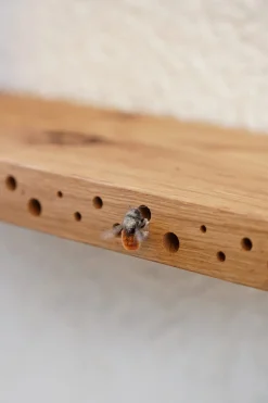 flowbee Wildbienennistplatz Regal Discount