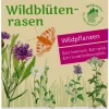 Tausende Gärten – Tausende Arten Wildblumenrasen gebietsheimisch New