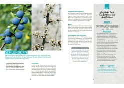 Bassermann Verlag Wilde Ernte aus dem Wald Best