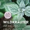 Ulmer Verlag Wildkräuter im Herbst und Winter Outlet