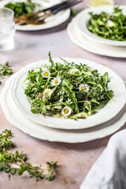 Ulmer Verlag Wildkräuter im Herbst und Winter Outlet