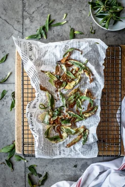 Ulmer Verlag Wildkräuter im Herbst und Winter Outlet