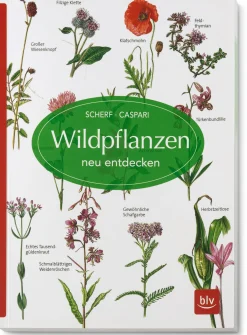 BLV Buchverlag Wildpflanzen neu entdecken Hot
