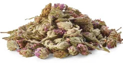 Daphnis and Chloe Wildthymianblüten Clearance