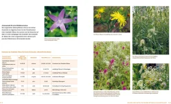 Löwenzahn Verlag Wo die wilden Nützlinge wohnen