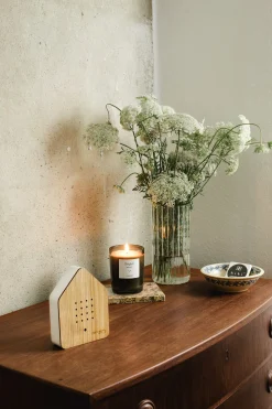 Zwitscherbox Birds Online